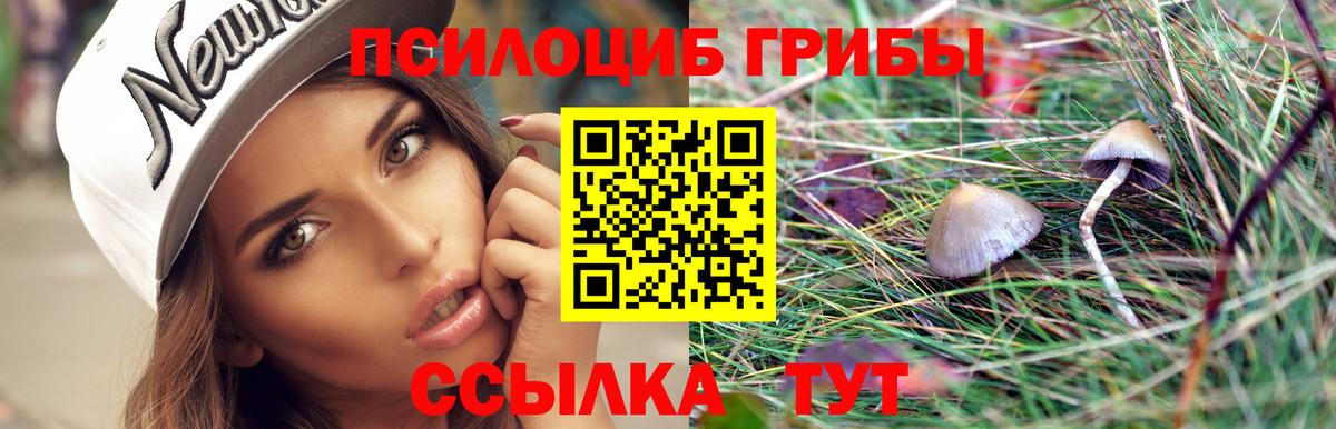 Псилоцибиновые грибы GOLDEN TEACHER Арзамас