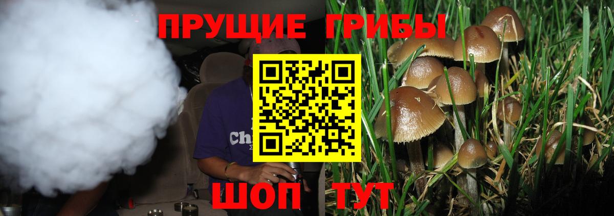 Галлюциногенные грибы прущие грибы  Вход с VPN  Галлюциногенные грибы прущие грибы  Арзамас 
